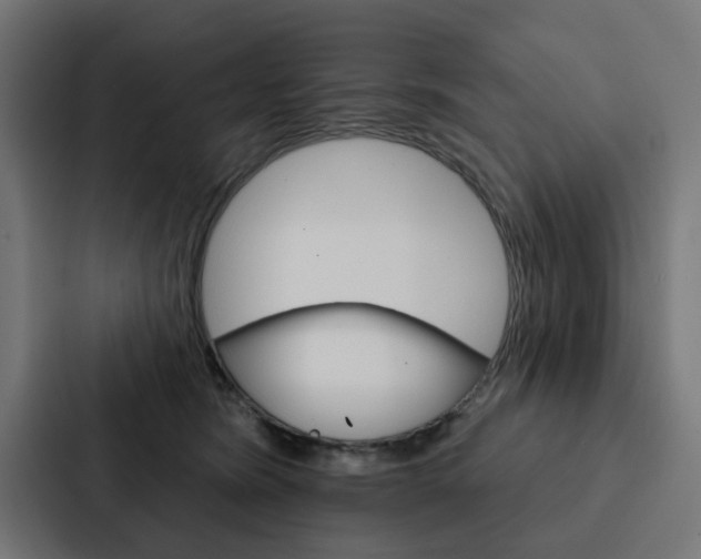 X0000088220420200705151033