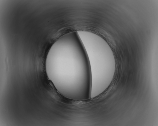 X0000088220421200705151033