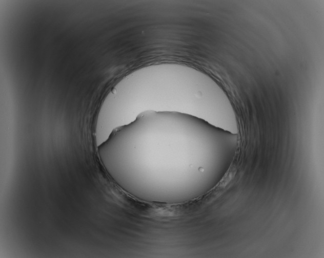 X0000088220423200705151033