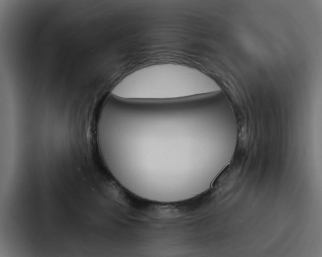 X0000088220424200705151033