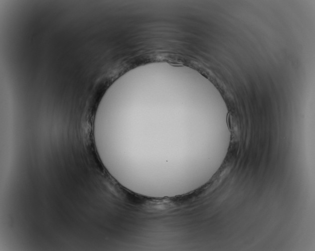 X0000088220427200705151033