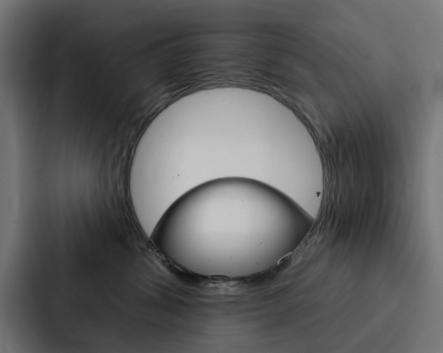 X0000088220428200705151033