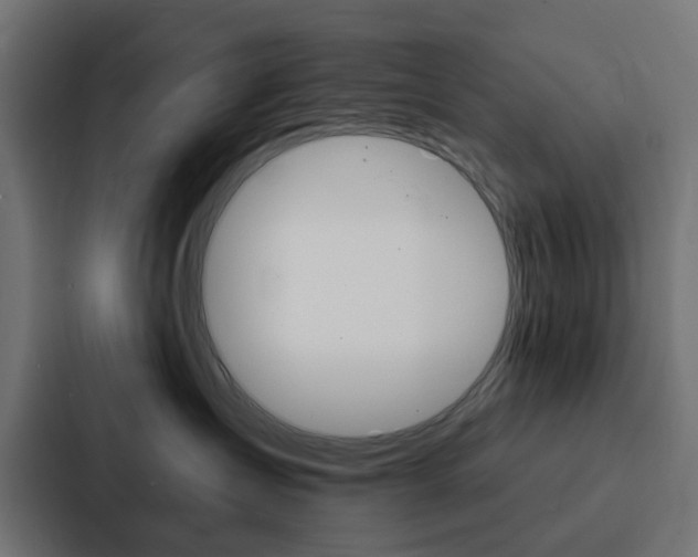 X0000088220431200705151033