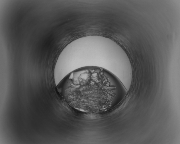 X0000088220432200705151033