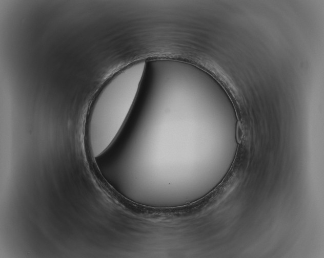 X0000088220434200705151032