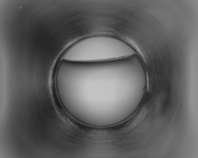 X0000088220435200705151032