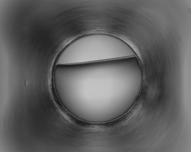 X0000088220437200705151032