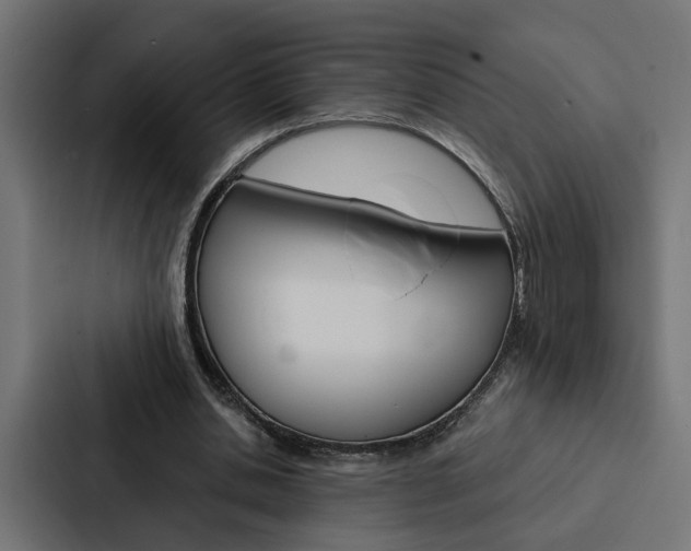 X0000088220438200705151032