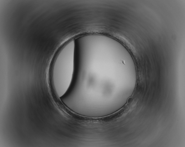 X0000088220439200705151032