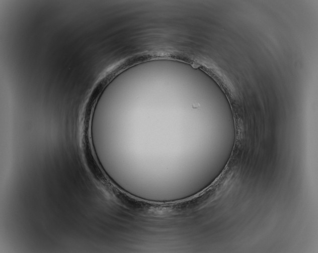 X0000088220440200705151032