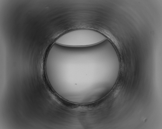 X0000088220441200705151032