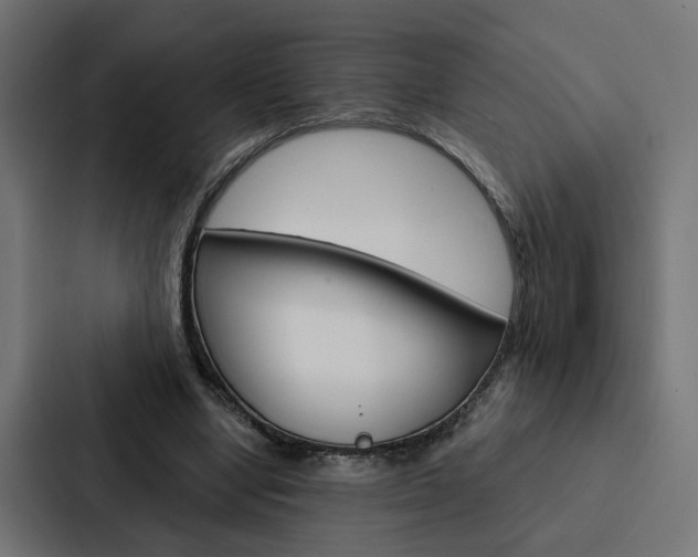 X0000088220442200705151032