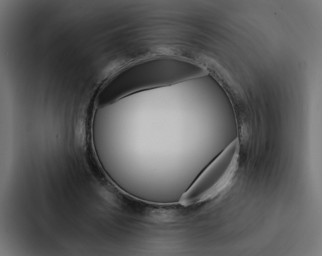 X0000088220444200705151032
