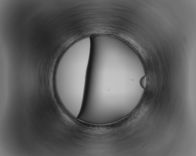 X0000088220445200705151032