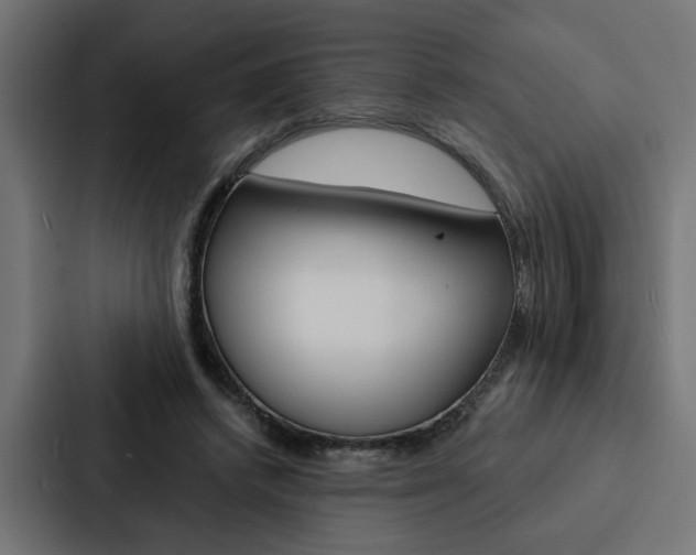 X0000088220448200705151032