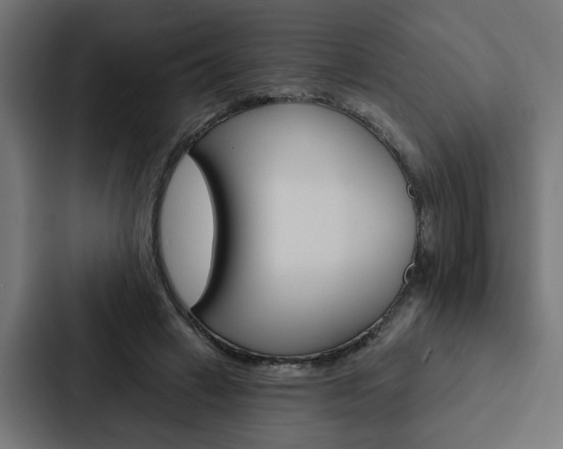 X0000088220449200705151032