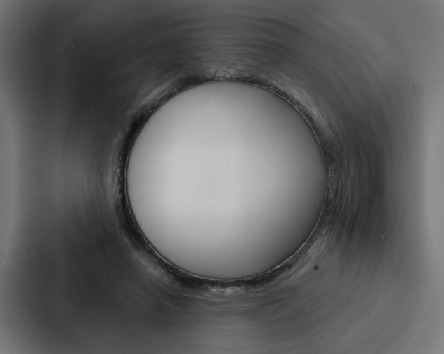 X0000088220450200705151032