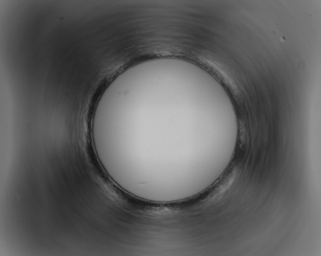 X0000088220453200705151032