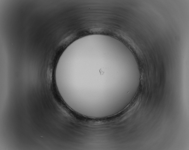 X0000088220454200705151032
