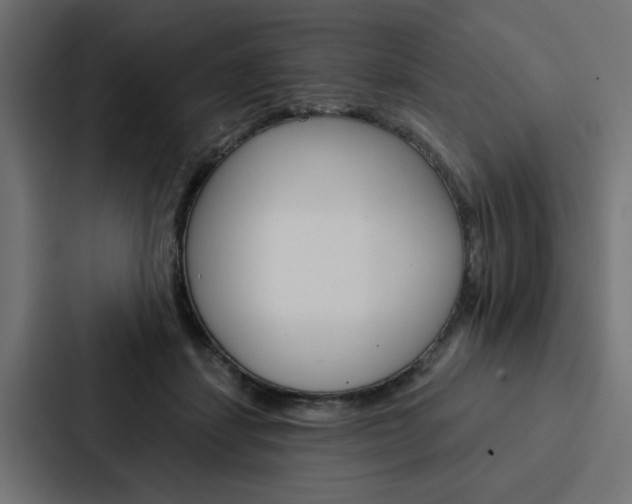 X0000088220459200705151032