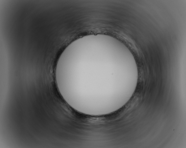X0000088220465200705151032