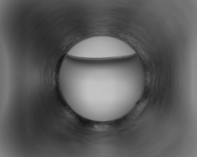 X0000088220470200705151032