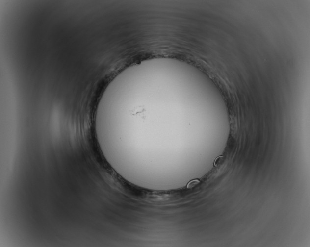 X0000088220472200705151032