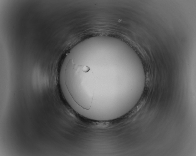 X0000088220474200705151032