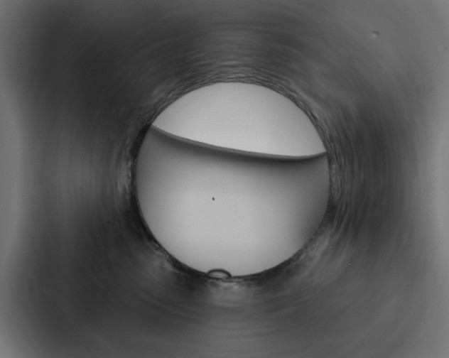 X0000088220475200705151032