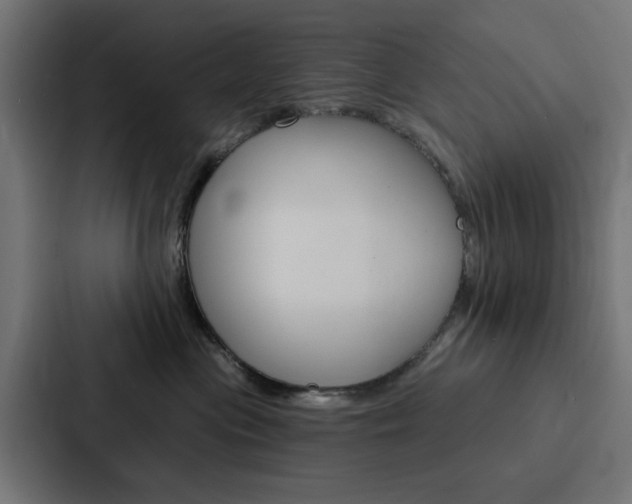X0000088220477200705151032
