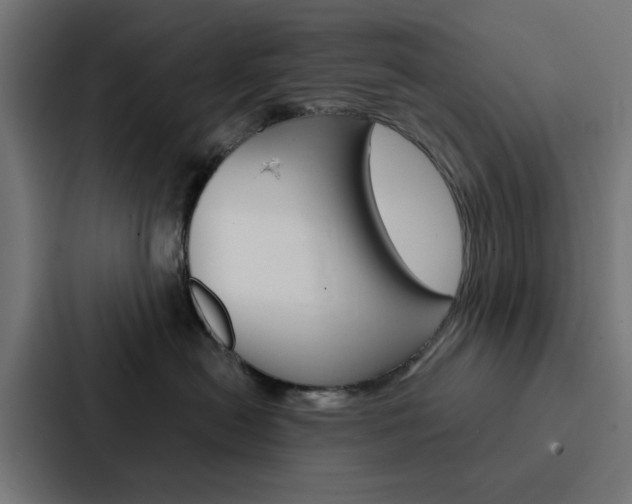 X0000088220478200705151032