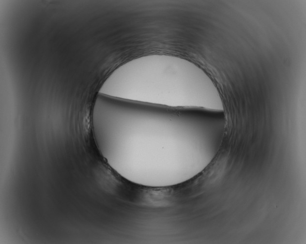 X0000088220479200705151032