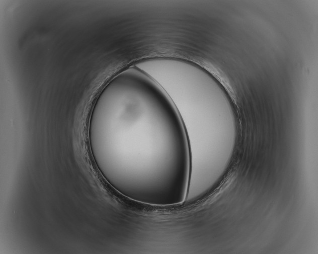 X0000088220481200705151032