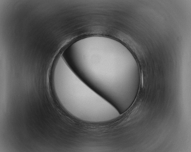 X0000088220483200705151032