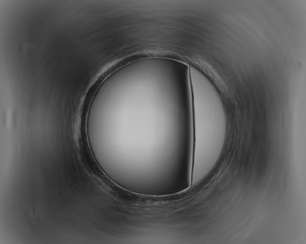 X0000088220484200705151032