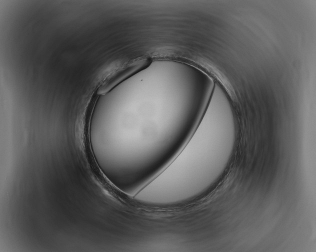 X0000088220485200705151032