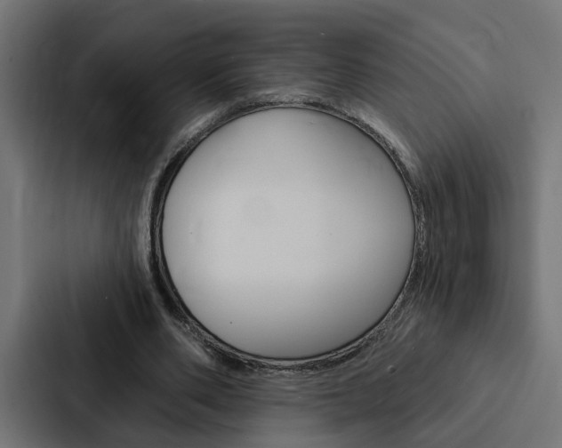X0000088220486200705151032