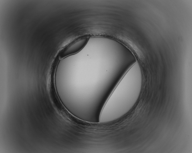 X0000088220488200705151032