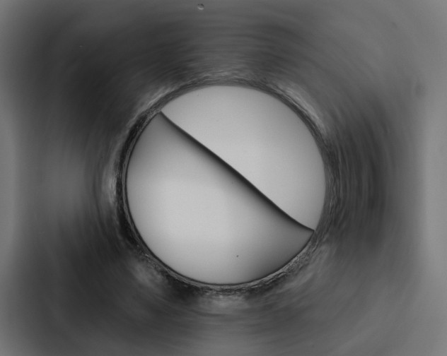 X0000088220491200705151032