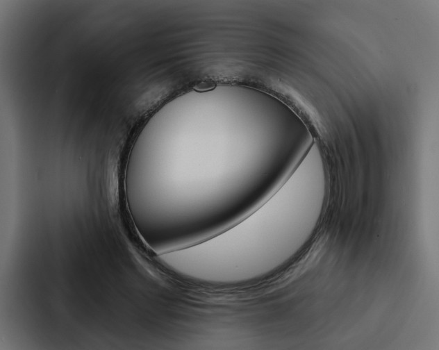 X0000088220493200705151032