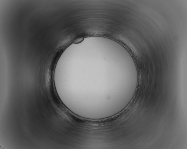 X0000088220494200705151032