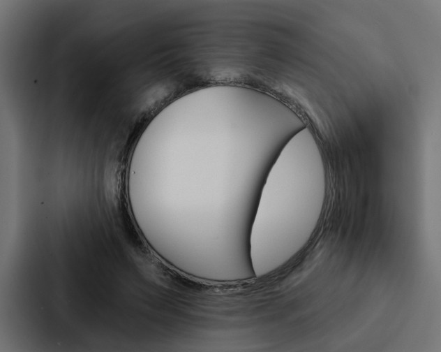 X0000088220495200705151032