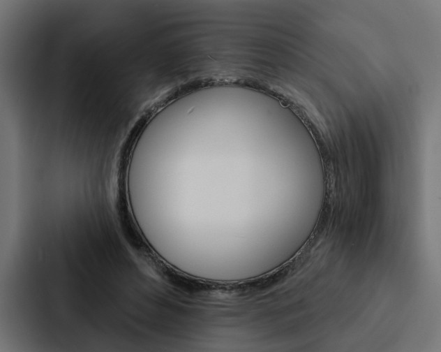 X0000088220496200705151032