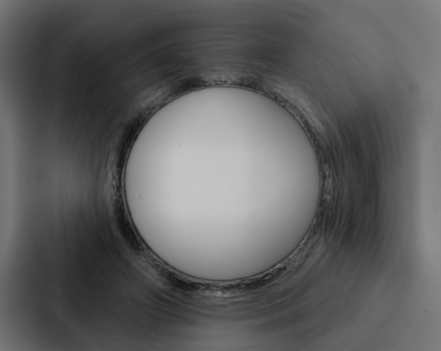 X0000088220498200705151032
