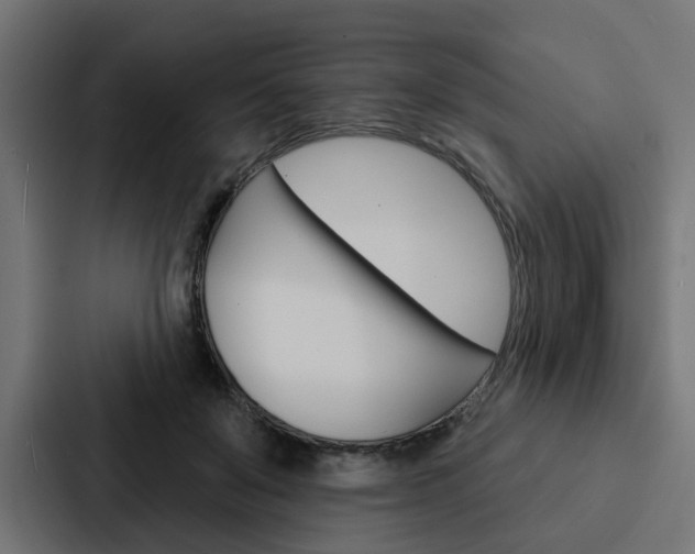 X0000088220503200705151032