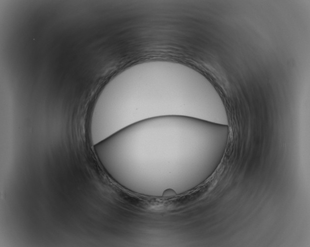 X0000088220504200705151032