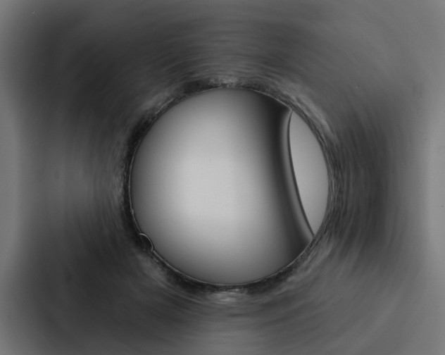 X0000088220505200705151032