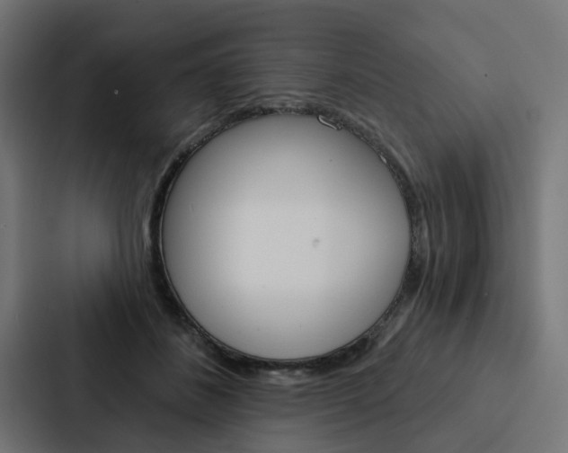 X0000088220508200705151032