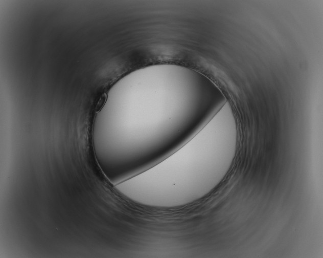 X0000088220509200705151032