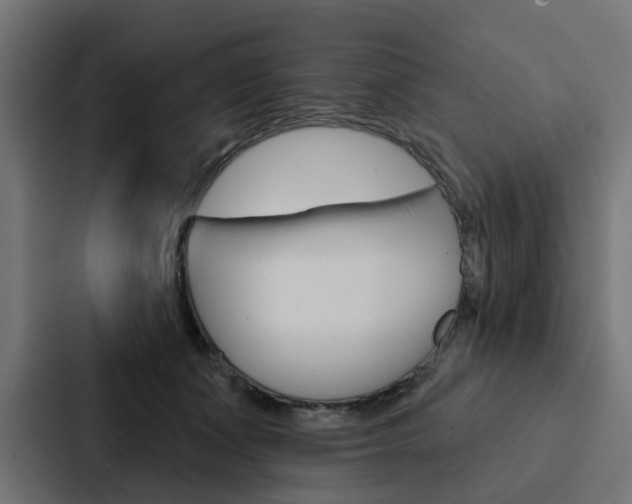 X0000088220511200705151031